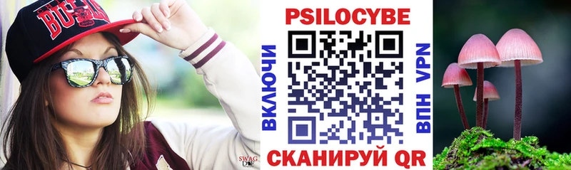 Купить где Железноводск Псилоцибиновые грибы Psilocybine cubensis